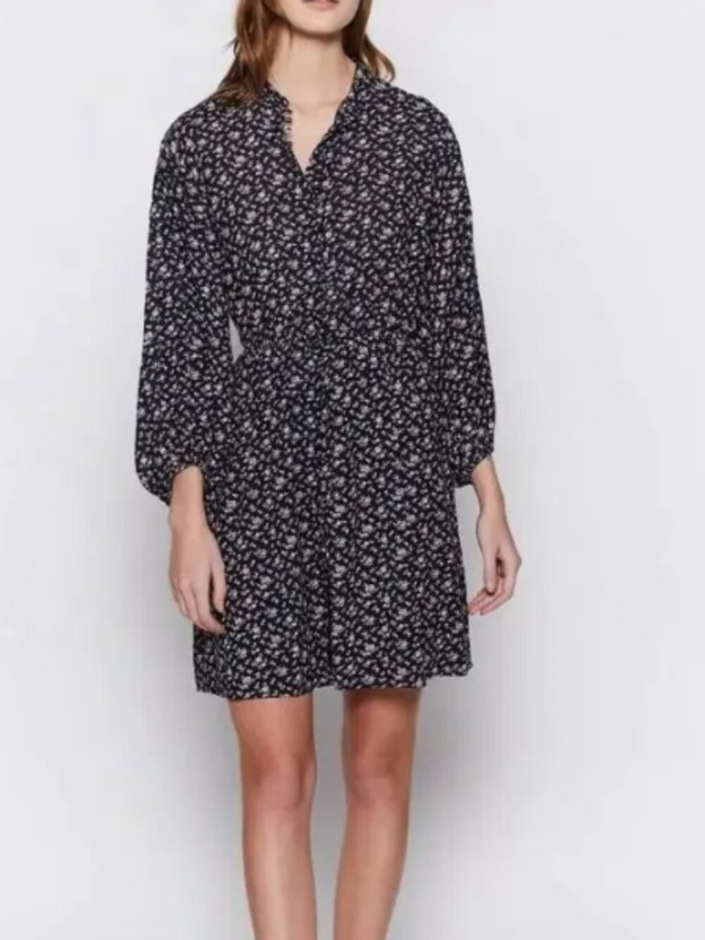 VGC Joie Calani Dress